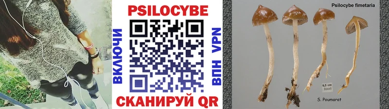 Галлюциногенные грибы мухоморы  Ярцево 