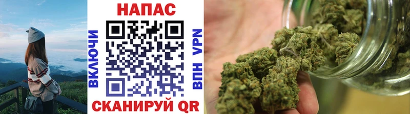 Каннабис OG Kush  Ярцево 